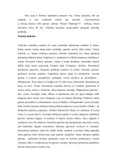 Pažintinė kelionė: Čekija-Austrija-Italija 14 puslapis