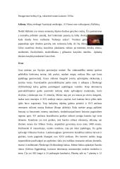 Pažintinė kelionė: Čekija-Austrija-Italija 15 puslapis