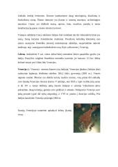 Pažintinė kelionė: Čekija-Austrija-Italija 16 puslapis