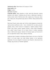 Pažintinė kelionė: Čekija-Austrija-Italija 7 puslapis