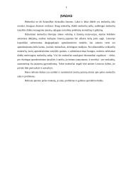 Pelno mokesčio ydos ir problemos 3 puslapis