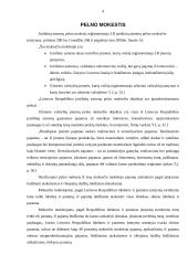 Pelno mokesčio ydos ir problemos 4 puslapis