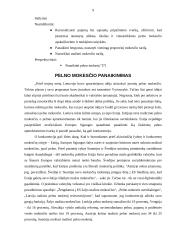 Pelno mokesčio ydos ir problemos 9 puslapis