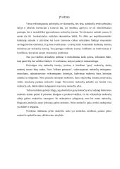 Pelno mokesčio įstatymo problemos 2 puslapis
