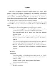Pelno mokesčio įstatymo problemos 15 puslapis