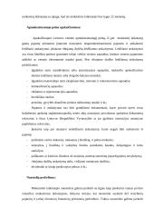 Pelno mokesčio įstatymo problemos 6 puslapis