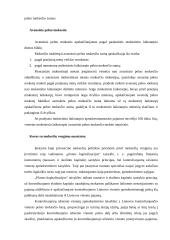 Pelno mokesčio įstatymo problemos 8 puslapis