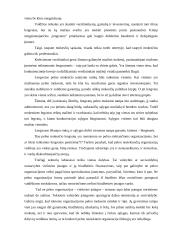 Pelno mokesčio įstatymo problemos 10 puslapis