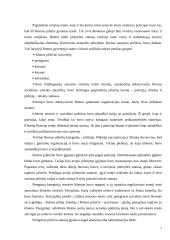 Civilinės teisės subjektai 6 puslapis
