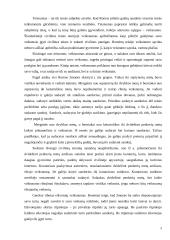 Civilinės teisės subjektai 10 puslapis