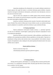 Pelno mokestis ir apskaita: firma "Andarnera" 11 puslapis