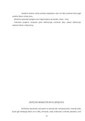 Pelno mokestis ir apskaita: firma "Andarnera" 13 puslapis