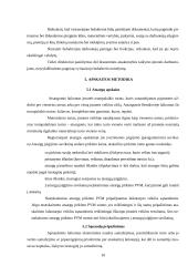 Pelno mokestis ir apskaita: firma "Andarnera" 10 puslapis