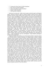 Naujoji pensijų reforma Lietuvoje 5 puslapis