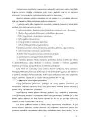 Personalo įdarbinimas ir organizavimas 11 puslapis