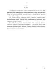 Personalo įdarbinimas ir organizavimas 3 puslapis