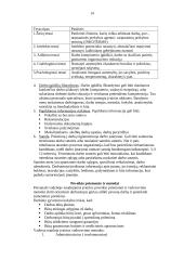 Personalo vadybos samprata, turinys, principai 14 puslapis