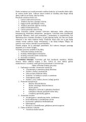 Personalo vadybos samprata, turinys, principai 19 puslapis
