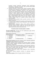 Personalo vadybos samprata, turinys, principai 4 puslapis