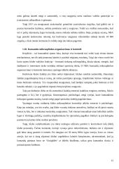 Personalo vadyba Jungtinėse Amerikos Valstijose (JAV)ir Kanadoje: NBA krepšinio lyga 12 puslapis