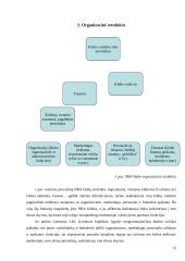Personalo vadyba Jungtinėse Amerikos Valstijose (JAV)ir Kanadoje: NBA krepšinio lyga 13 puslapis
