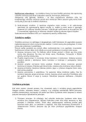 Teisės teorijos konspektas 4 puslapis