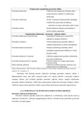 Personalo valdymas: viešbutis "City Park" 9 puslapis