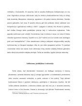 Pilietinė visuomenė ir demokratijos stabilumas 6 puslapis