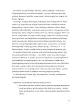 Pinigai ir šiuolaikinės jų formos 12 puslapis