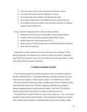 Pinigai ir šiuolaikinės jų formos 13 puslapis