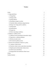 Pinigai, palūkanų norma ir valiutos kursas 2 puslapis