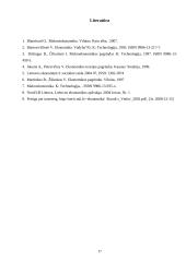 Pinigų politika ir infliacija 17 puslapis