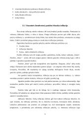 Pinigų politika ir infliacija 9 puslapis