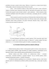 Pinigų politika ir infliacija 10 puslapis