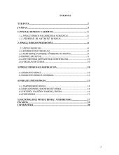 Pinigų rinka ir joje naudojami instrumentai 2 puslapis