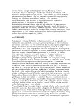 Pinigų rinka ir joje naudojami instrumentai 15 puslapis