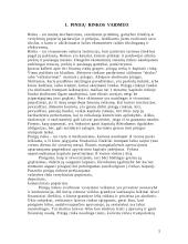 Pinigų rinka ir joje naudojami instrumentai 5 puslapis