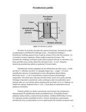 PIR (Pasyviųjų InfraRaudonųjų spindulių) judesio jutikliai 5 puslapis