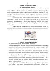 Pirmoji pagalba gaisro atveju 3 puslapis