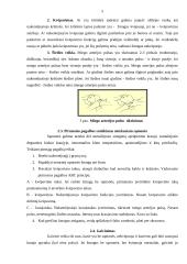 Pirmoji pagalba gaisro atveju 5 puslapis