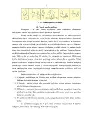 Pirmoji pagalba gaisro atveju 7 puslapis