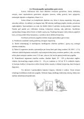 Pirmoji pagalba gaisro atveju 9 puslapis