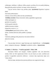 Planų įvairovė ir jų sudarymo ypatybės 3 puslapis