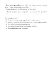 Planų įvairovė ir jų sudarymo ypatybės 5 puslapis