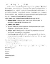 Planų įvairovė ir jų sudarymo ypatybės 6 puslapis