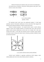 Plokščių menčių maišytuvai 4 puslapis
