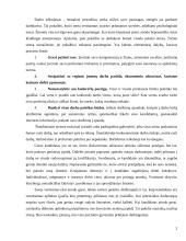 Pokalbis su darbdaviu 2 puslapis