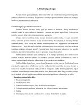 Pokalbis su darbdaviu 12 puslapis