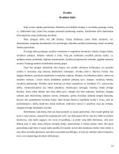 Pokalbis su darbdaviu 14 puslapis