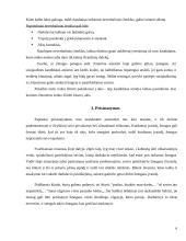 Pokalbis su darbdaviu 6 puslapis